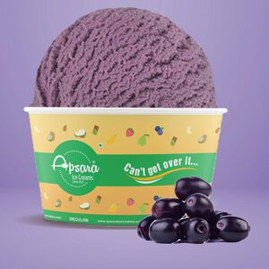 Jamun Josh Apsara Ice Creams